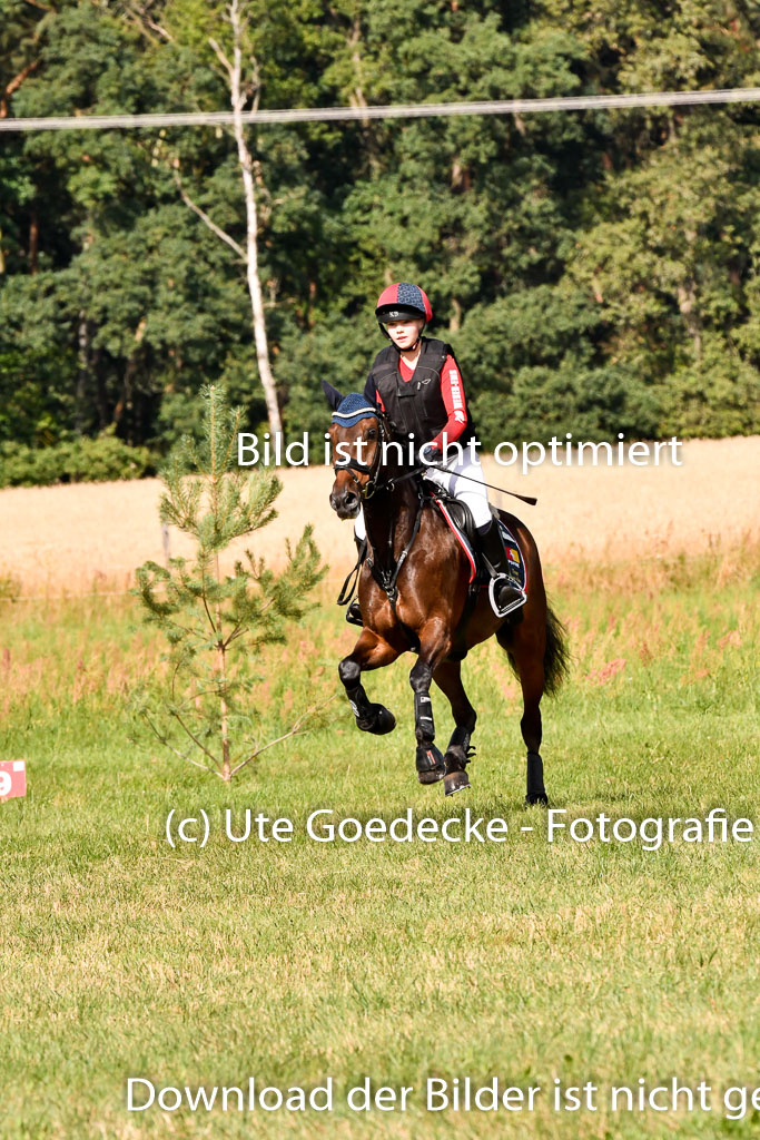 Goldene Schärpe Ponys in Hohenberg Krusemark 2024 | 13072024 Gelände 1 Abt_226 