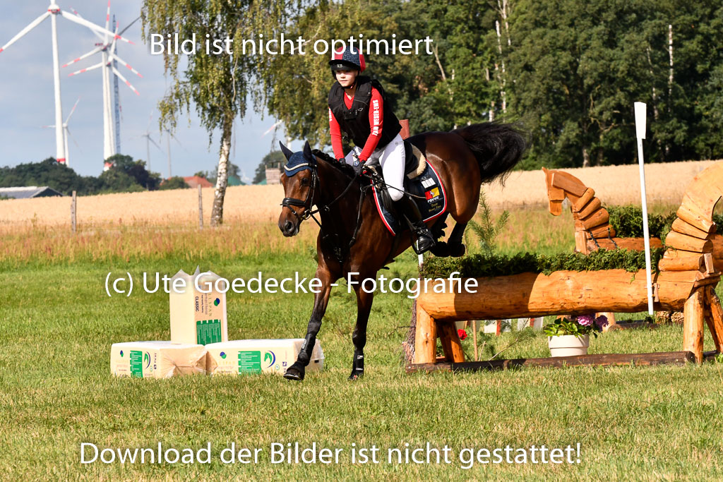 Goldene Schärpe Ponys in Hohenberg Krusemark 2024 | 13072024 Gelände 1 Abt_229