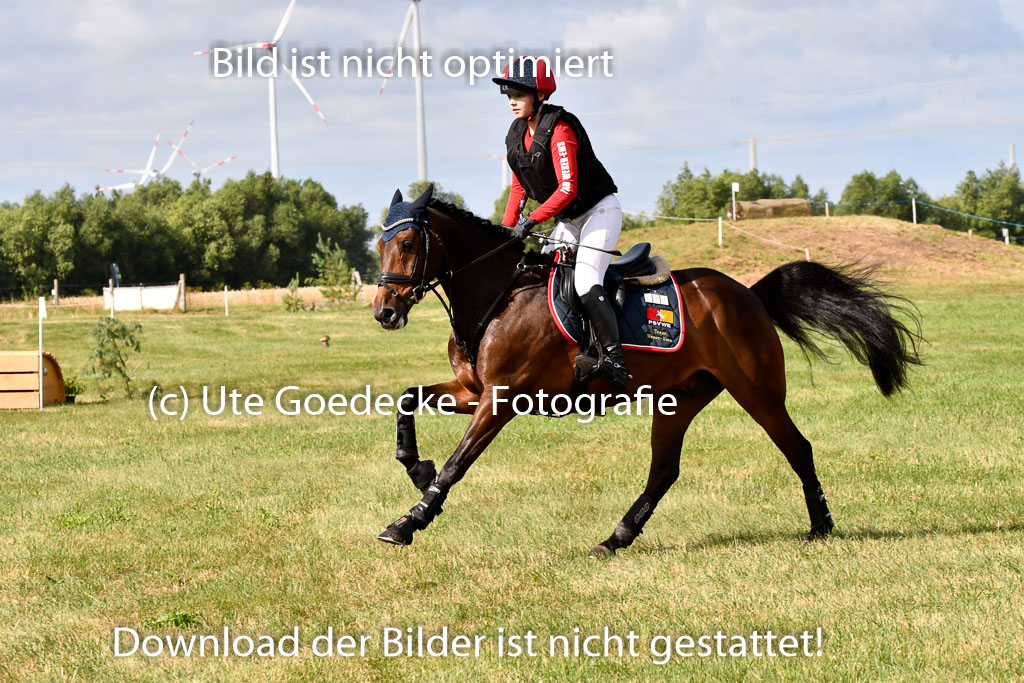 Goldene Schärpe Ponys in Hohenberg Krusemark 2024 | 13072024 Gelände 1 Abt_230 