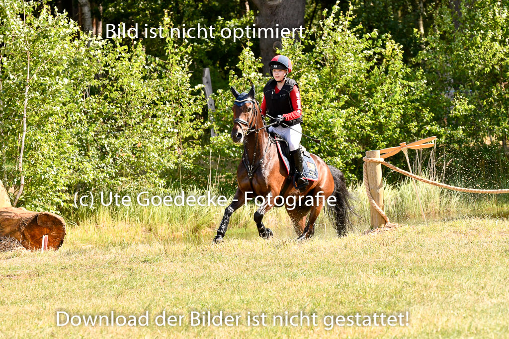 Goldene Schärpe Ponys in Hohenberg Krusemark 2024 | 13072024 Gelände 1 Abt_231