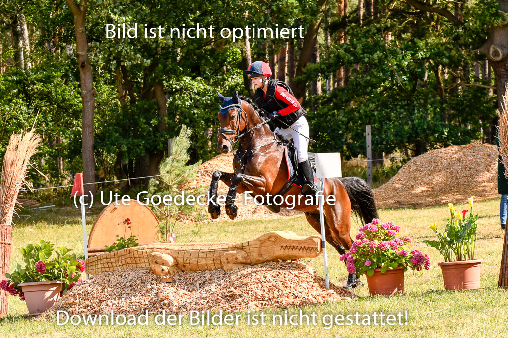 Goldene Schärpe Ponys in Hohenberg Krusemark 2024 | 13072024 Gelände 1 Abt_233