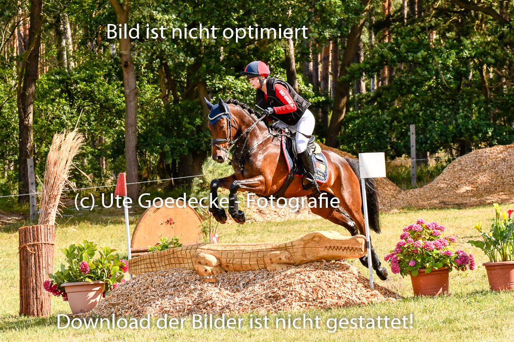 Goldene Schärpe Ponys in Hohenberg Krusemark 2024 | 13072024 Gelände 1 Abt_234