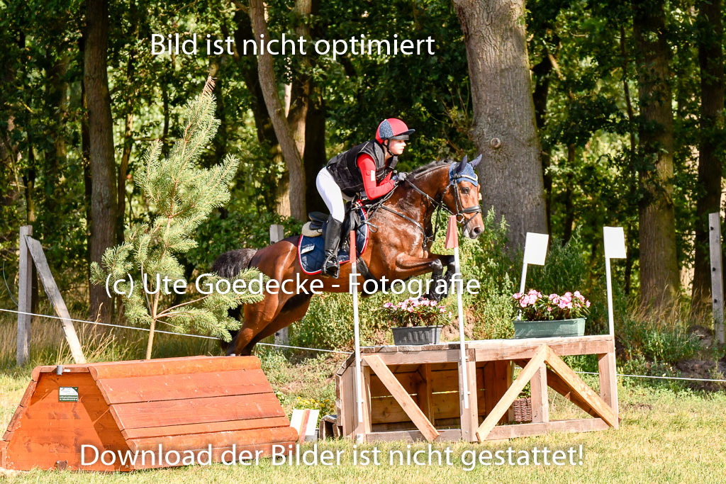 Goldene Schärpe Ponys in Hohenberg Krusemark 2024 | 13072024 Gelände 1 Abt_235