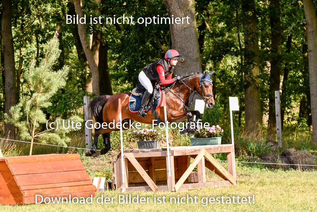 Goldene Schärpe Ponys in Hohenberg Krusemark 2024 | 13072024 Gelände 1 Abt_236 