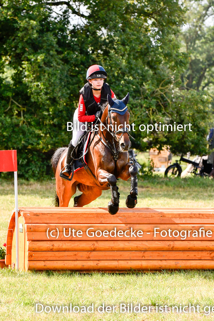 Goldene Schärpe Ponys in Hohenberg Krusemark 2024 | 13072024 Gelände 1 Abt_239