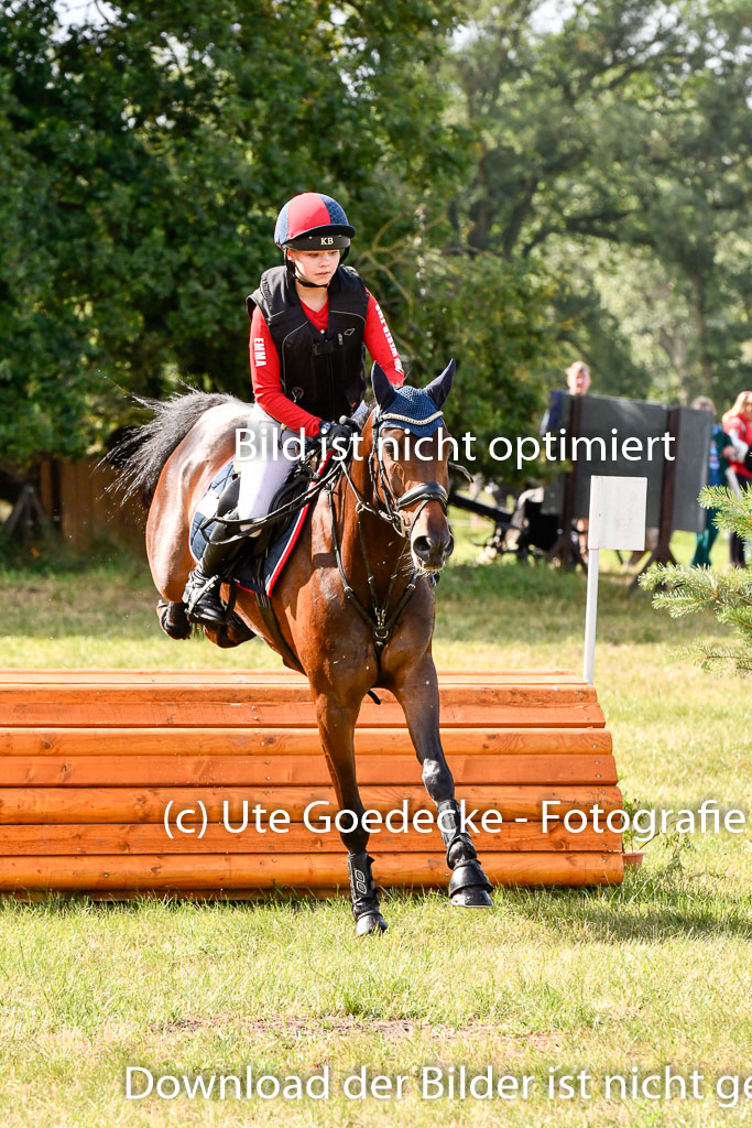 Goldene Schärpe Ponys in Hohenberg Krusemark 2024 | 13072024 Gelände 1 Abt_240