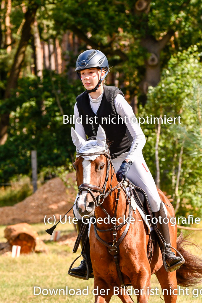 Goldene Schärpe Ponys in Hohenberg Krusemark 2024 | 13072024 Gelände 1 Abt_242 