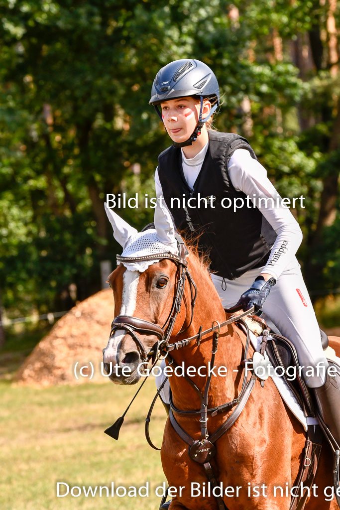 Goldene Schärpe Ponys in Hohenberg Krusemark 2024 | 13072024 Gelände 1 Abt_243