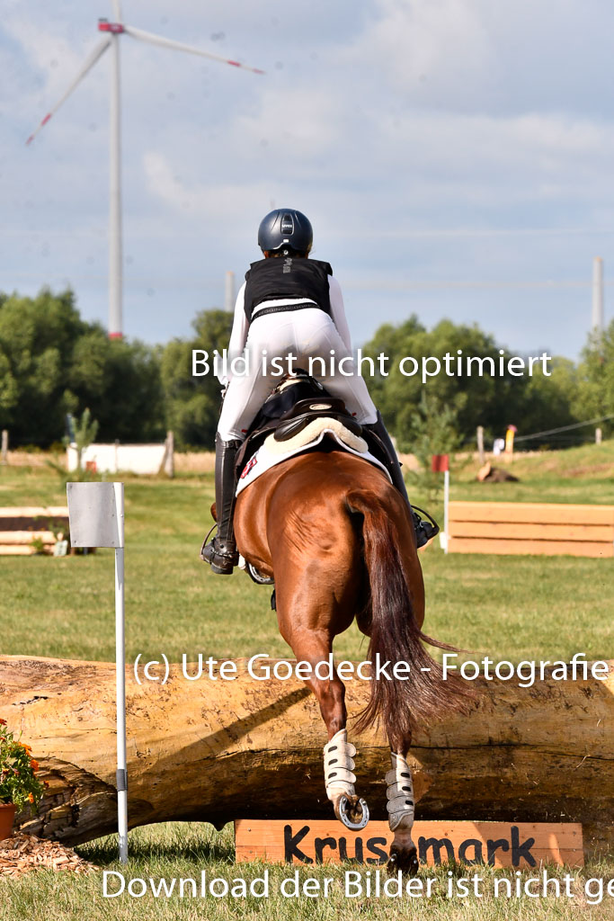 Goldene Schärpe Ponys in Hohenberg Krusemark 2024 | 13072024 Gelände 1 Abt_244