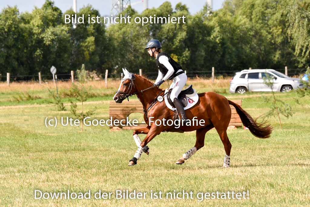Goldene Schärpe Ponys in Hohenberg Krusemark 2024 | 13072024 Gelände 1 Abt_245