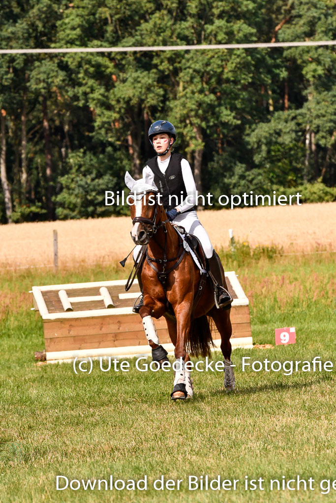 Goldene Schärpe Ponys in Hohenberg Krusemark 2024 | 13072024 Gelände 1 Abt_247 