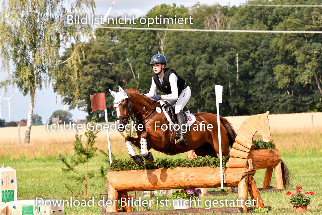 Goldene Schärpe Ponys in Hohenberg Krusemark 2024 | 13072024 Gelände 1 Abt_249