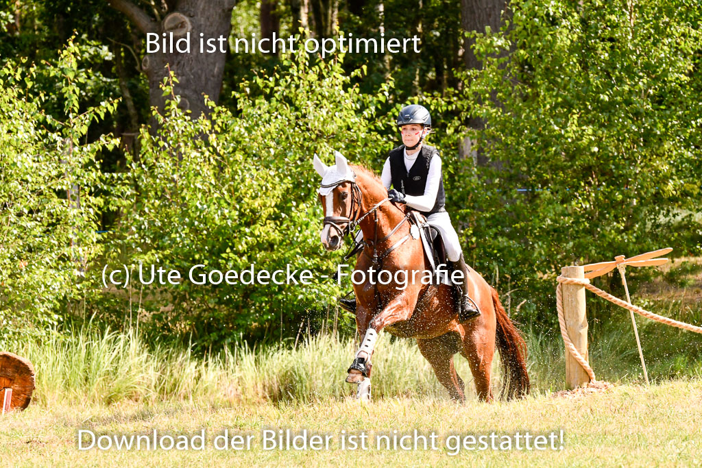 Goldene Schärpe Ponys in Hohenberg Krusemark 2024 | 13072024 Gelände 1 Abt_251