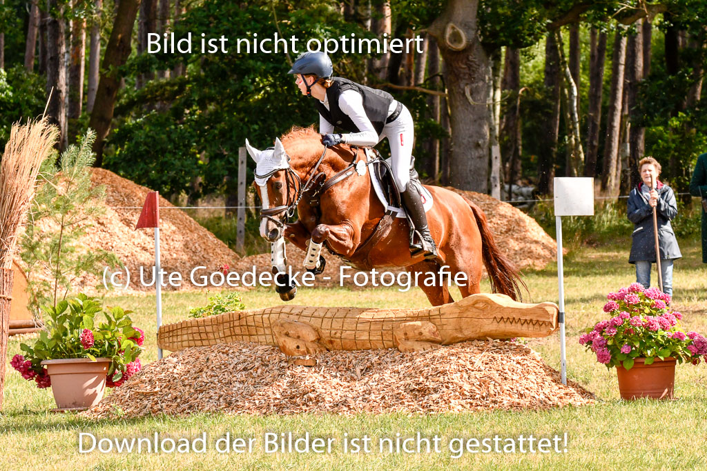 Goldene Schärpe Ponys in Hohenberg Krusemark 2024 | 13072024 Gelände 1 Abt_252