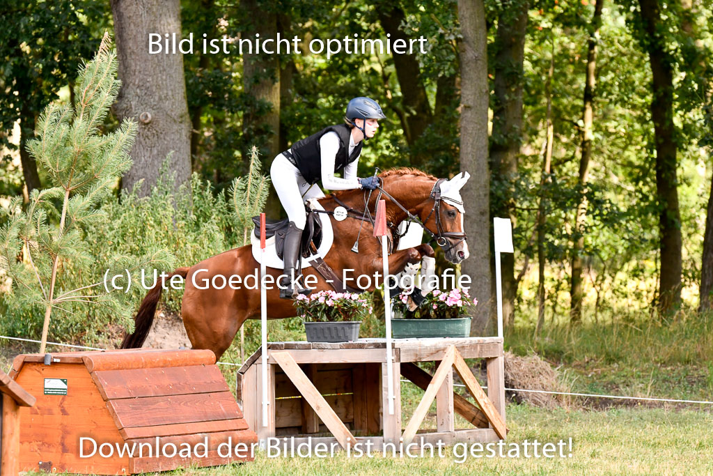 Goldene Schärpe Ponys in Hohenberg Krusemark 2024 | 13072024 Gelände 1 Abt_253 