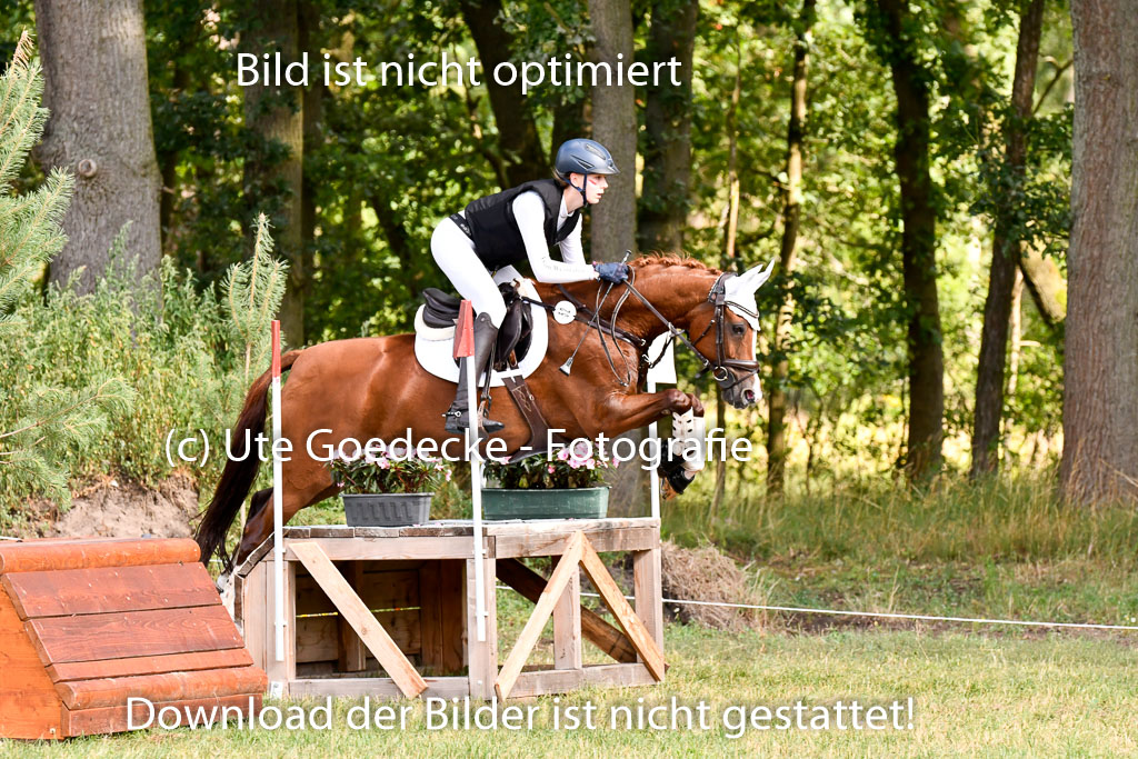 Goldene Schärpe Ponys in Hohenberg Krusemark 2024 | 13072024 Gelände 1 Abt_254