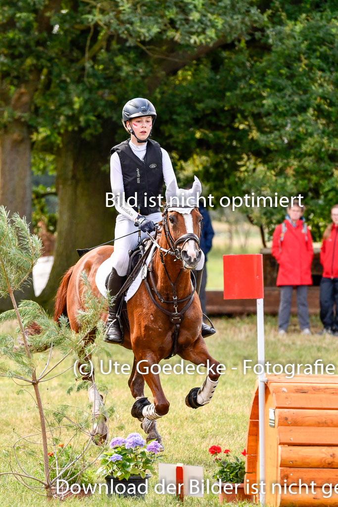 Goldene Schärpe Ponys in Hohenberg Krusemark 2024 | 13072024 Gelände 1 Abt_255