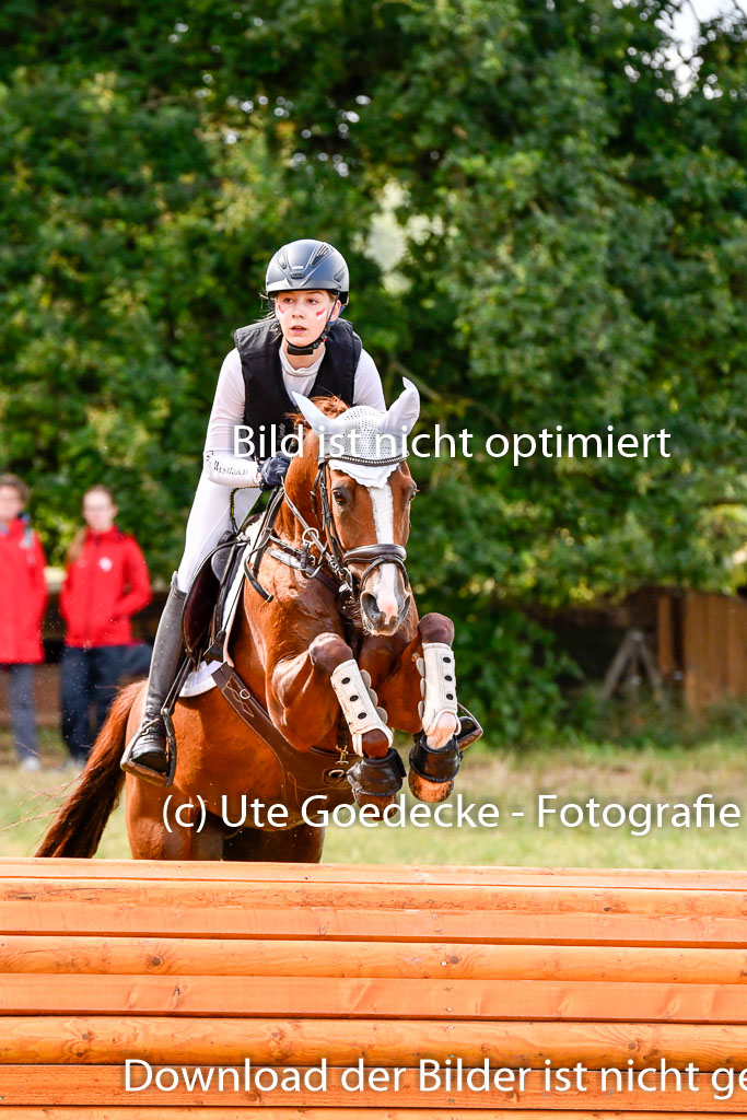 Goldene Schärpe Ponys in Hohenberg Krusemark 2024 | 13072024 Gelände 1 Abt_256 