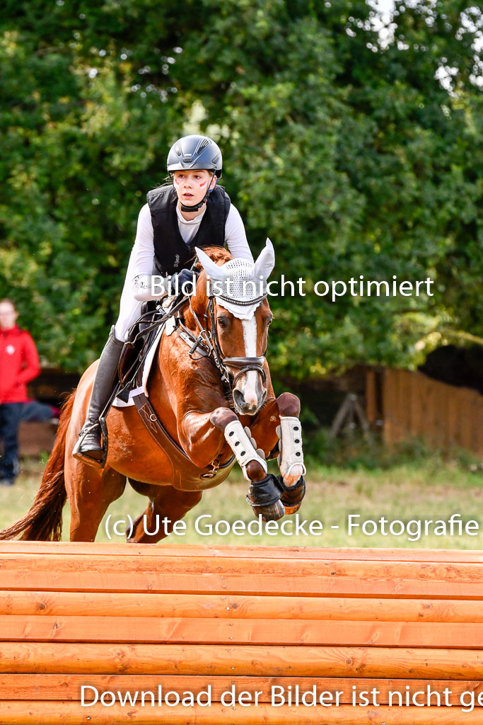 Goldene Schärpe Ponys in Hohenberg Krusemark 2024 | 13072024 Gelände 1 Abt_257