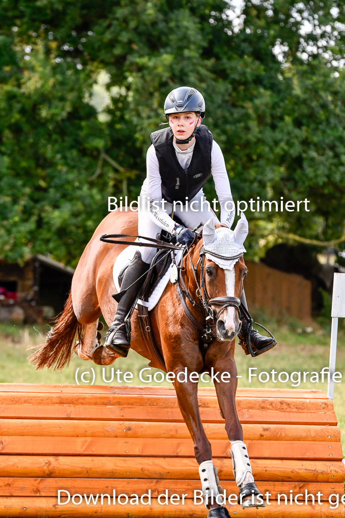 Goldene Schärpe Ponys in Hohenberg Krusemark 2024 | 13072024 Gelände 1 Abt_258