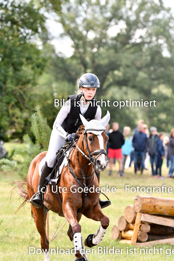 Goldene Schärpe Ponys in Hohenberg Krusemark 2024 | 13072024 Gelände 1 Abt_259