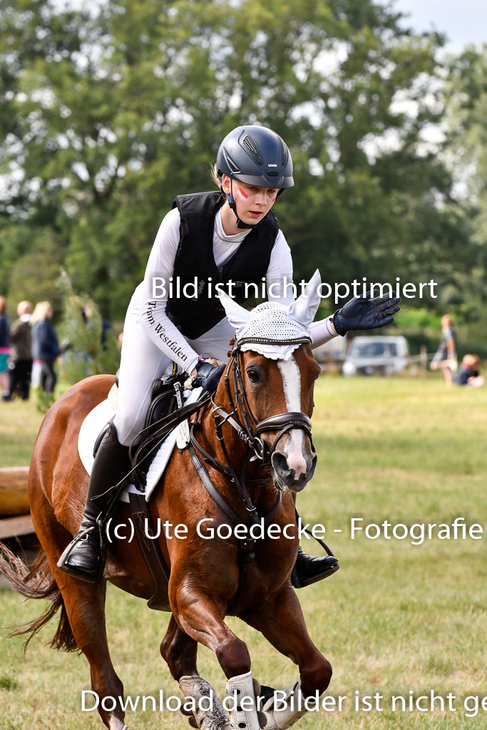 Goldene Schärpe Ponys in Hohenberg Krusemark 2024 | 13072024 Gelände 1 Abt_260