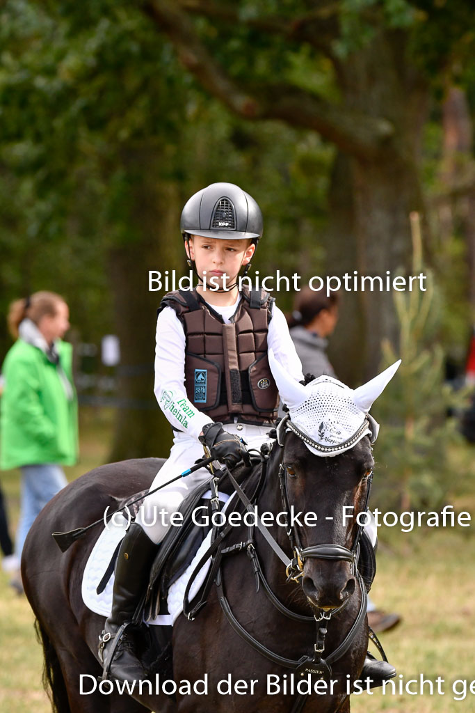 Goldene Schärpe Ponys in Hohenberg Krusemark 2024 | 13072024 Gelände 1 Abt_262