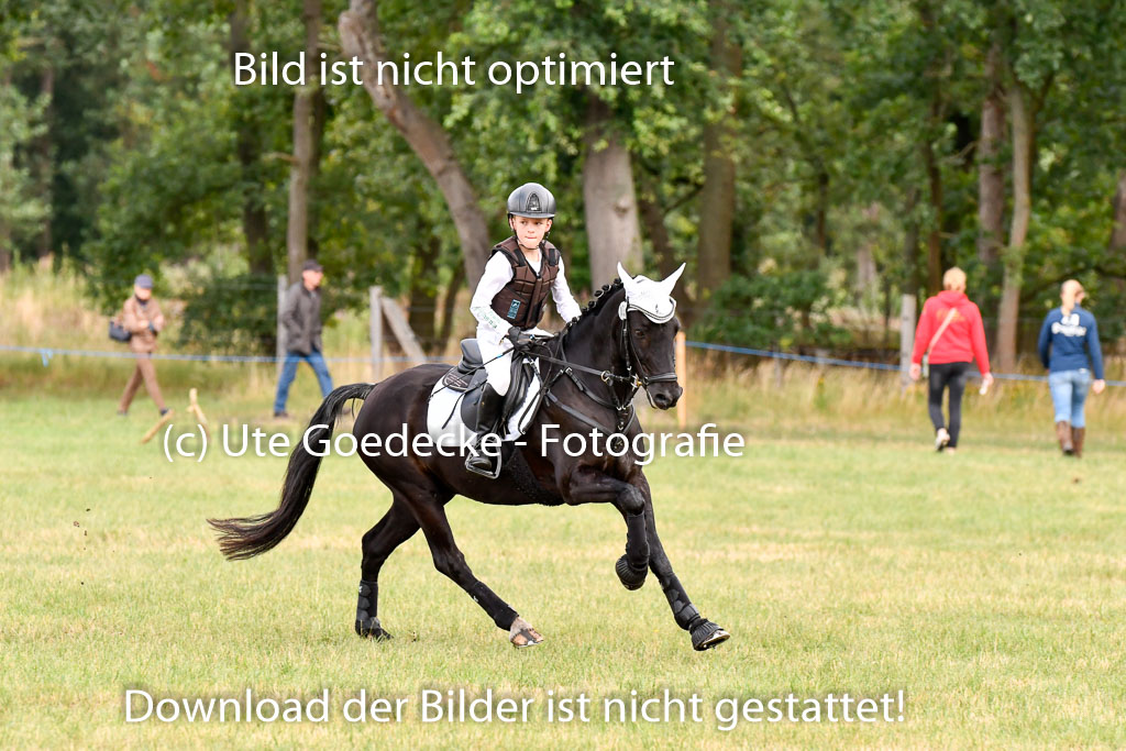 Goldene Schärpe Ponys in Hohenberg Krusemark 2024 | 13072024 Gelände 1 Abt_263