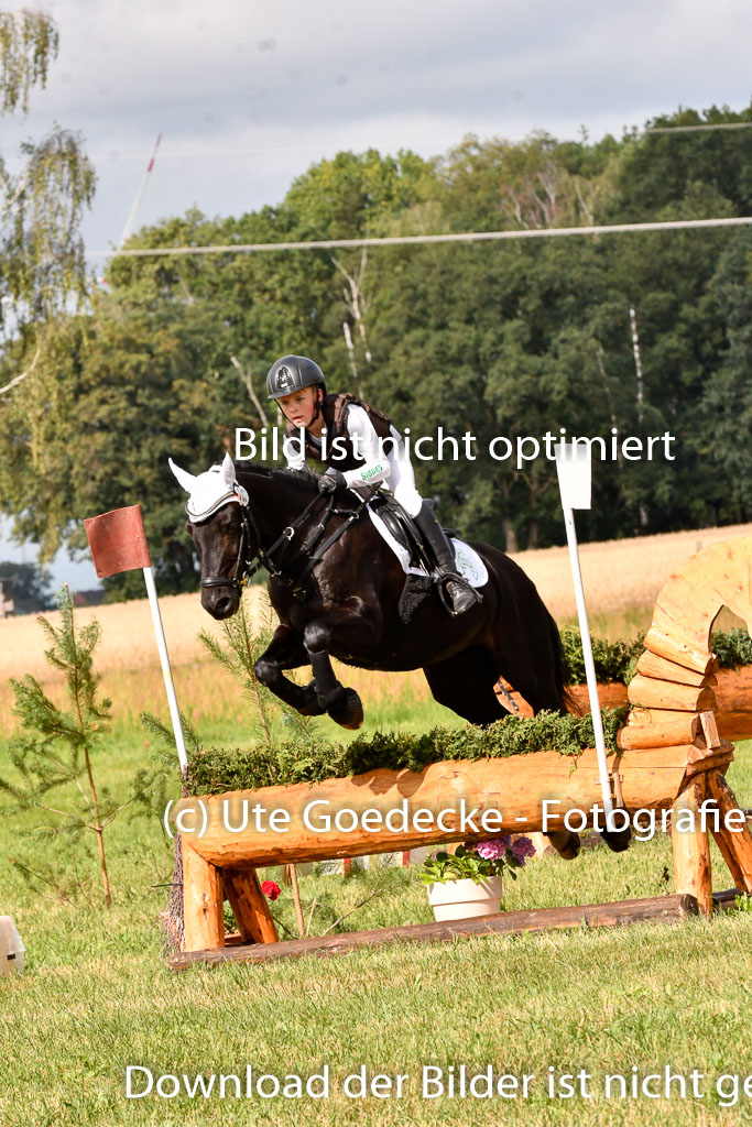 Goldene Schärpe Ponys in Hohenberg Krusemark 2024 | 13072024 Gelände 1 Abt_264