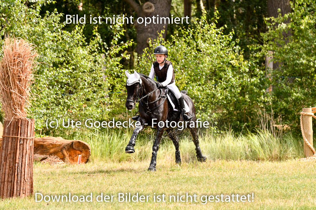 Goldene Schärpe Ponys in Hohenberg Krusemark 2024 | 13072024 Gelände 1 Abt_266