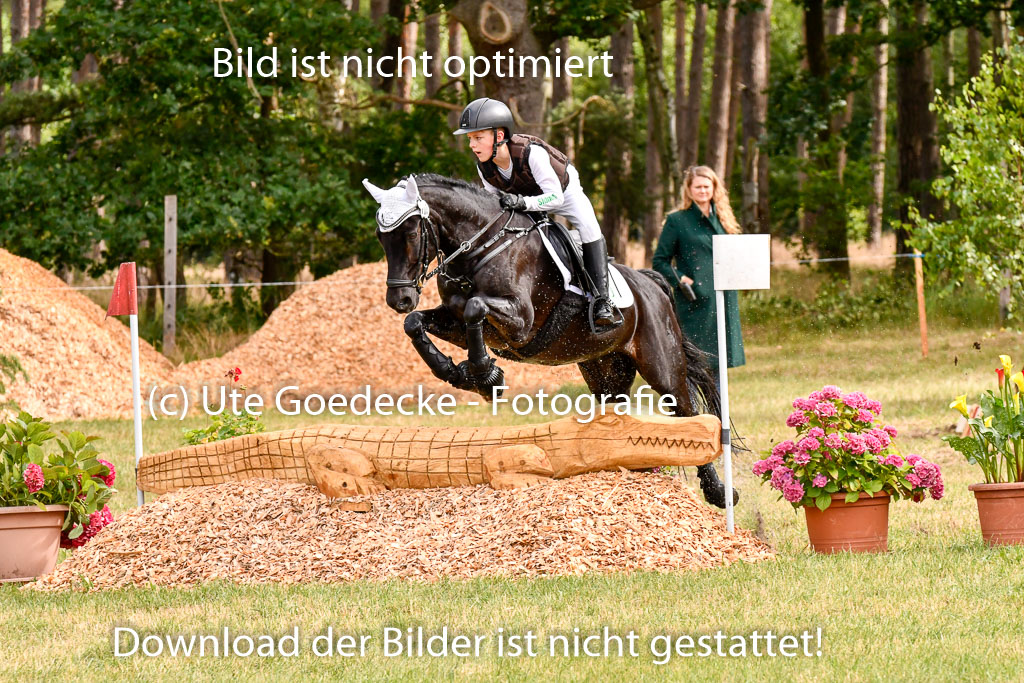 Goldene Schärpe Ponys in Hohenberg Krusemark 2024 | 13072024 Gelände 1 Abt_267