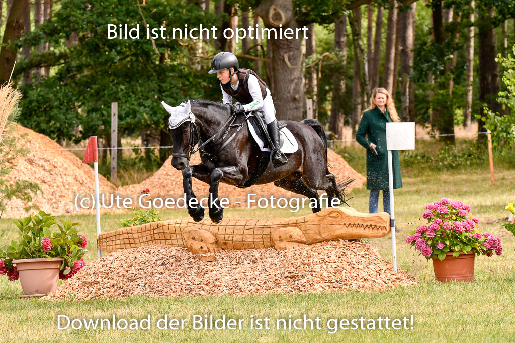 Goldene Schärpe Ponys in Hohenberg Krusemark 2024 | 13072024 Gelände 1 Abt_268