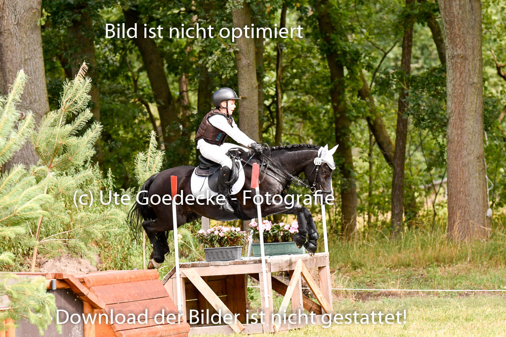 Goldene Schärpe Ponys in Hohenberg Krusemark 2024 | 13072024 Gelände 1 Abt_270