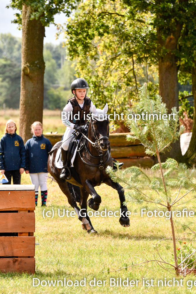 Goldene Schärpe Ponys in Hohenberg Krusemark 2024 | 13072024 Gelände 1 Abt_271 