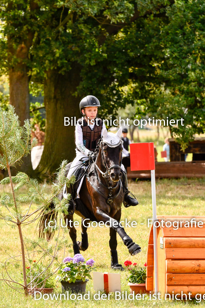 Goldene Schärpe Ponys in Hohenberg Krusemark 2024 | 13072024 Gelände 1 Abt_272