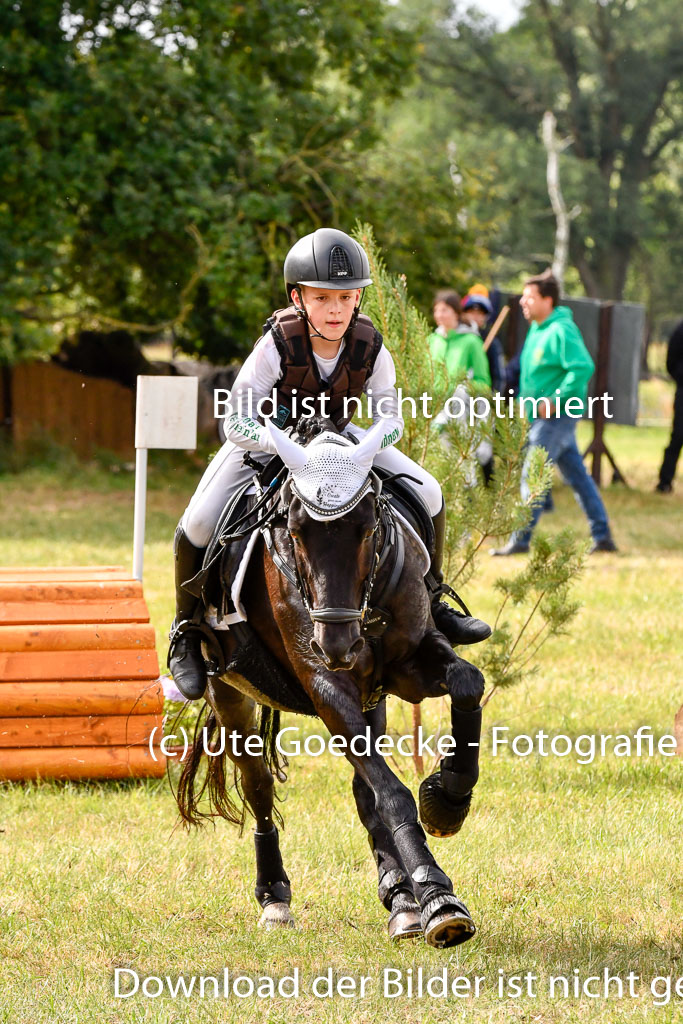 Goldene Schärpe Ponys in Hohenberg Krusemark 2024 | 13072024 Gelände 1 Abt_274 