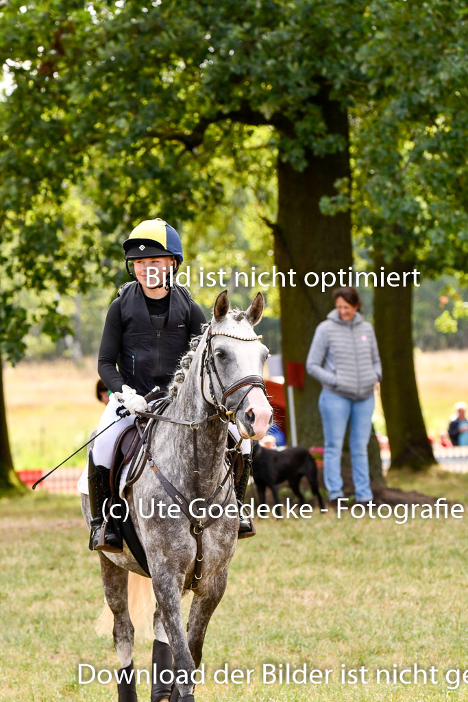 Goldene Schärpe Ponys in Hohenberg Krusemark 2024 | 13072024 Gelände 1 Abt_275 