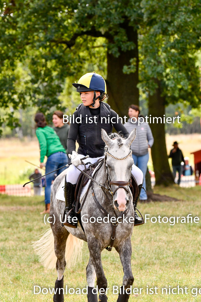 Goldene Schärpe Ponys in Hohenberg Krusemark 2024 | 13072024 Gelände 1 Abt_276