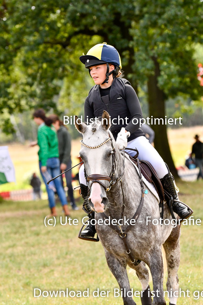 Goldene Schärpe Ponys in Hohenberg Krusemark 2024 | 13072024 Gelände 1 Abt_277
