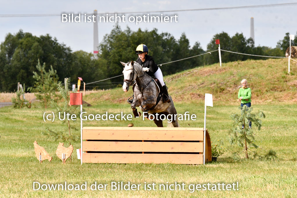 Goldene Schärpe Ponys in Hohenberg Krusemark 2024 | 13072024 Gelände 1 Abt_279 