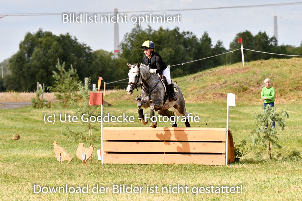 Goldene Schärpe Ponys in Hohenberg Krusemark 2024 | 13072024 Gelände 1 Abt_280