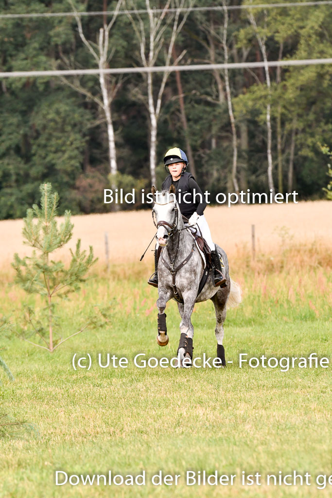 Goldene Schärpe Ponys in Hohenberg Krusemark 2024 | 13072024 Gelände 1 Abt_281