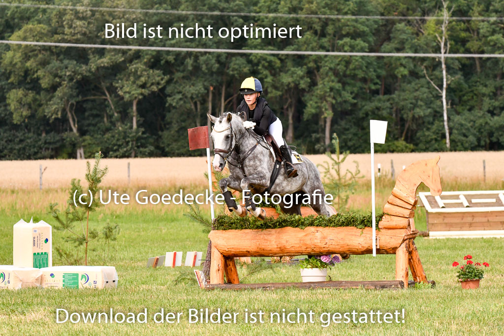 Goldene Schärpe Ponys in Hohenberg Krusemark 2024 | 13072024 Gelände 1 Abt_282 