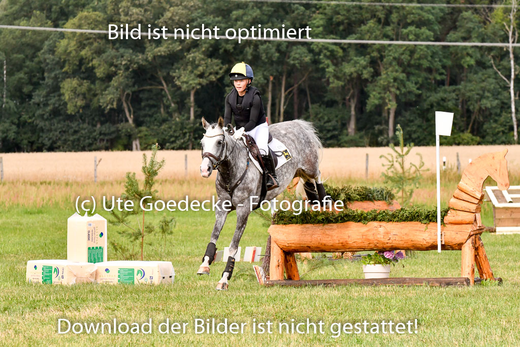 Goldene Schärpe Ponys in Hohenberg Krusemark 2024 | 13072024 Gelände 1 Abt_283