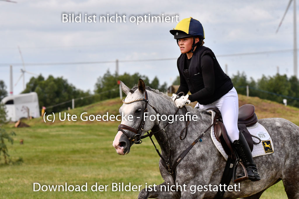 Goldene Schärpe Ponys in Hohenberg Krusemark 2024 | 13072024 Gelände 1 Abt_284