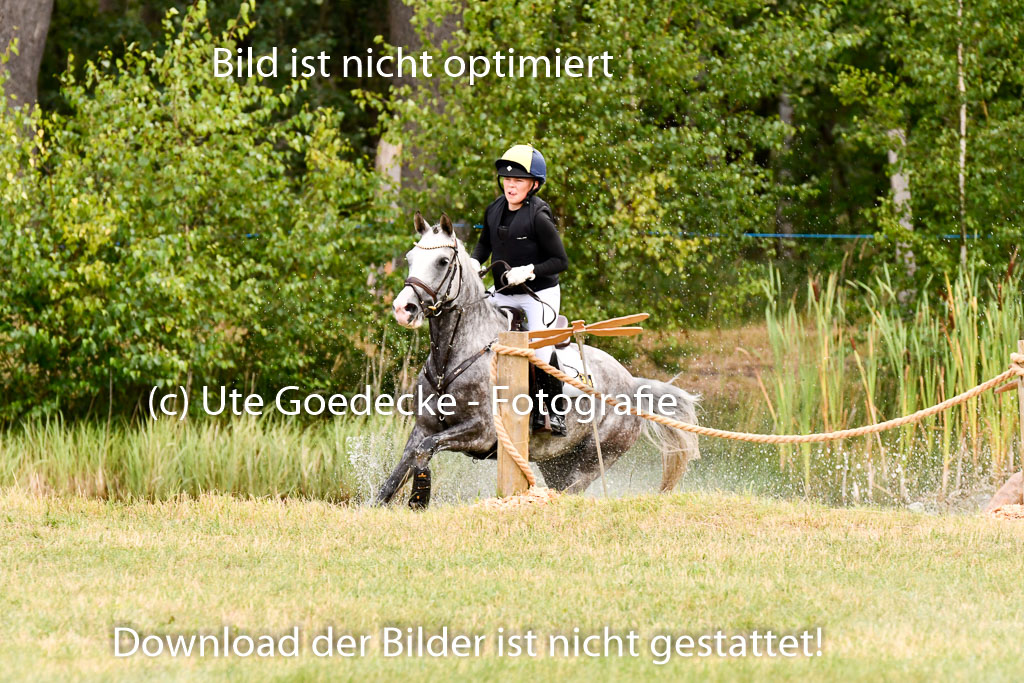 Goldene Schärpe Ponys in Hohenberg Krusemark 2024 | 13072024 Gelände 1 Abt_285