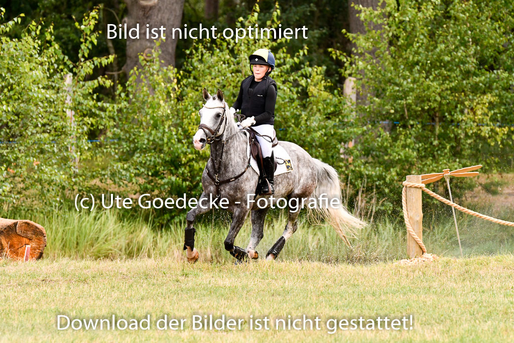 Goldene Schärpe Ponys in Hohenberg Krusemark 2024 | 13072024 Gelände 1 Abt_286