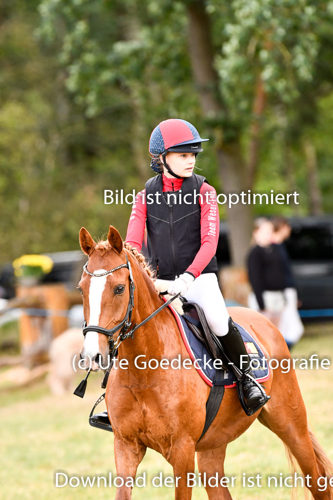 Goldene Schärpe Ponys in Hohenberg Krusemark 2024 | 13072024 Gelände 1 Abt_290