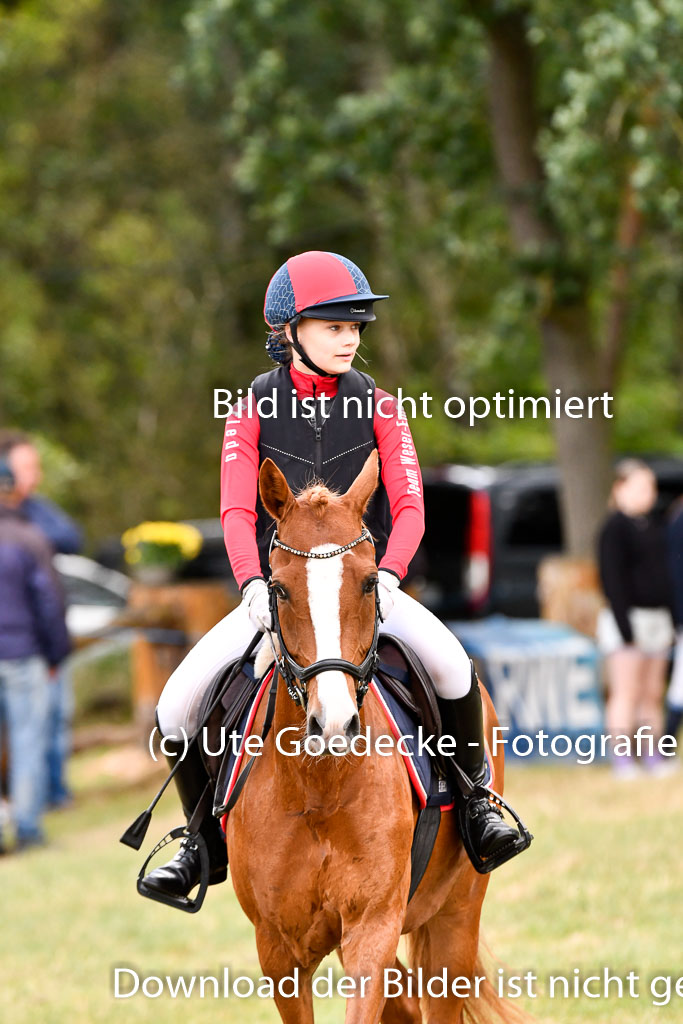 Goldene Schärpe Ponys in Hohenberg Krusemark 2024 | 13072024 Gelände 1 Abt_291