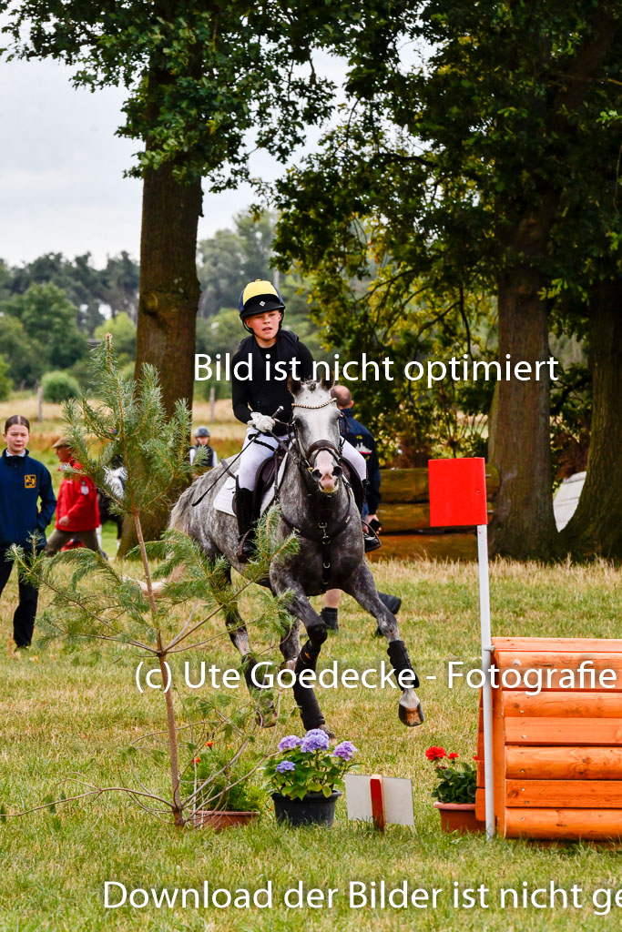 Goldene Schärpe Ponys in Hohenberg Krusemark 2024 | 13072024 Gelände 1 Abt_292 